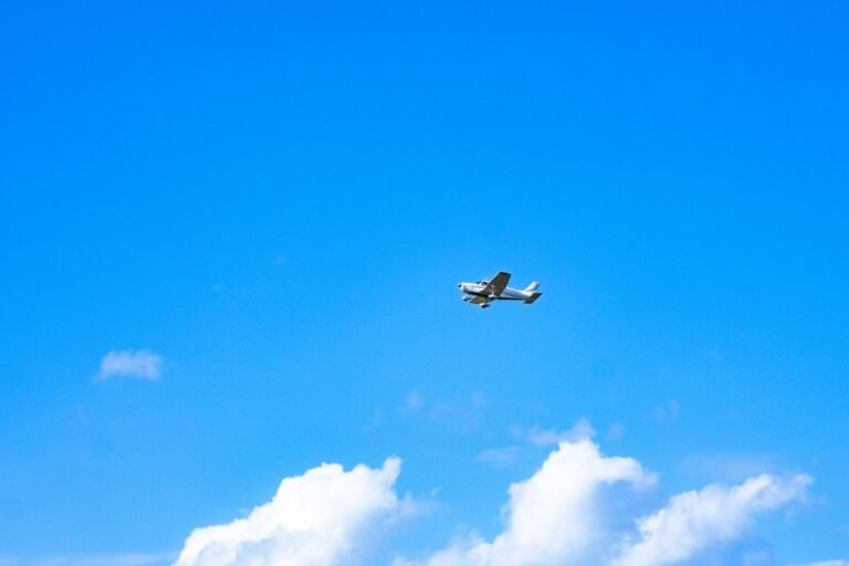 rastrear vuelos en tiempo real con Flightradar24 - avión en el cielo