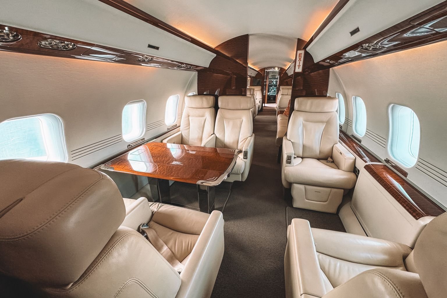 volar con puntos en primera clase - cabina premium con asientos de piel