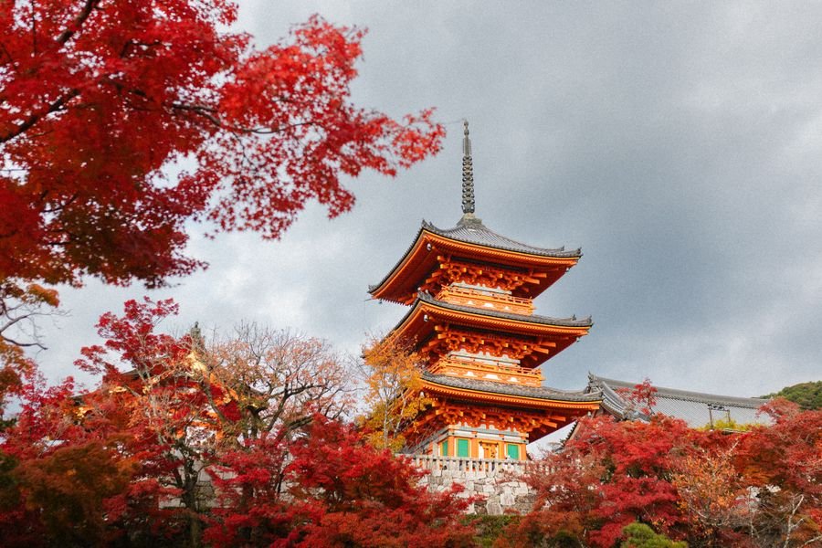 Pagoda de Kioto en otoño, destino al volar a Japón con puntos