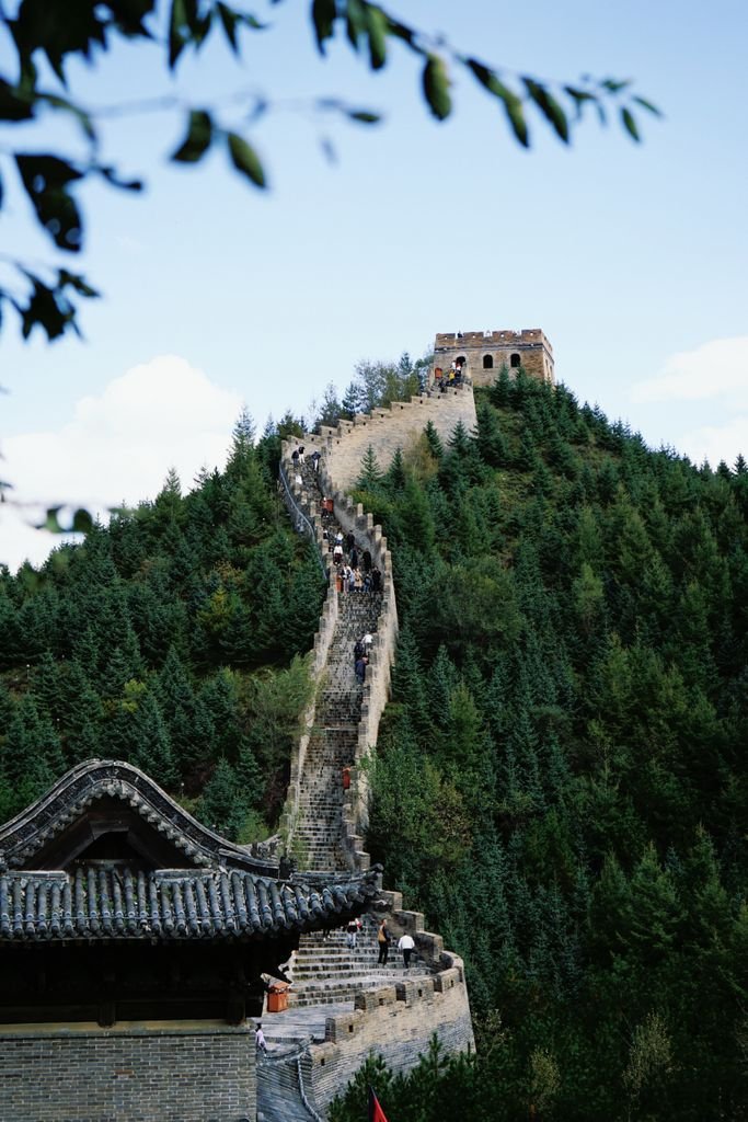 volar a China con puntos - la Gran Muralla China subiendo entre bosques